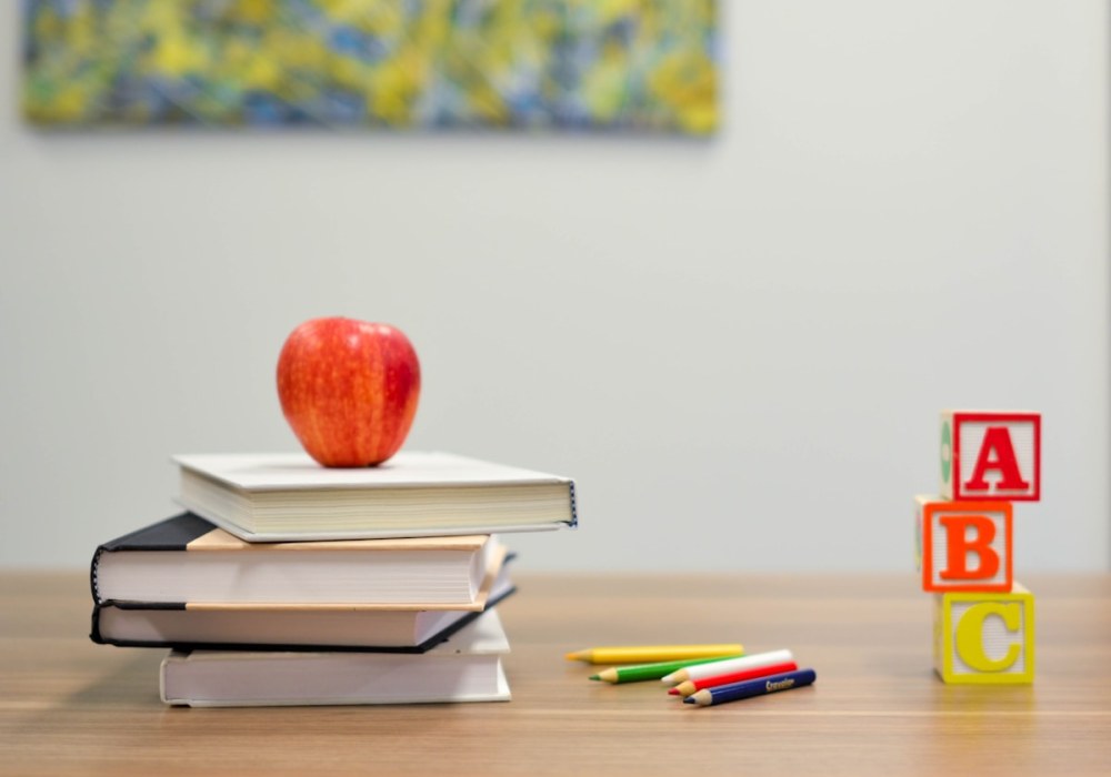 Eğitim / Kurs / Danışmanlık galeri görseli 5